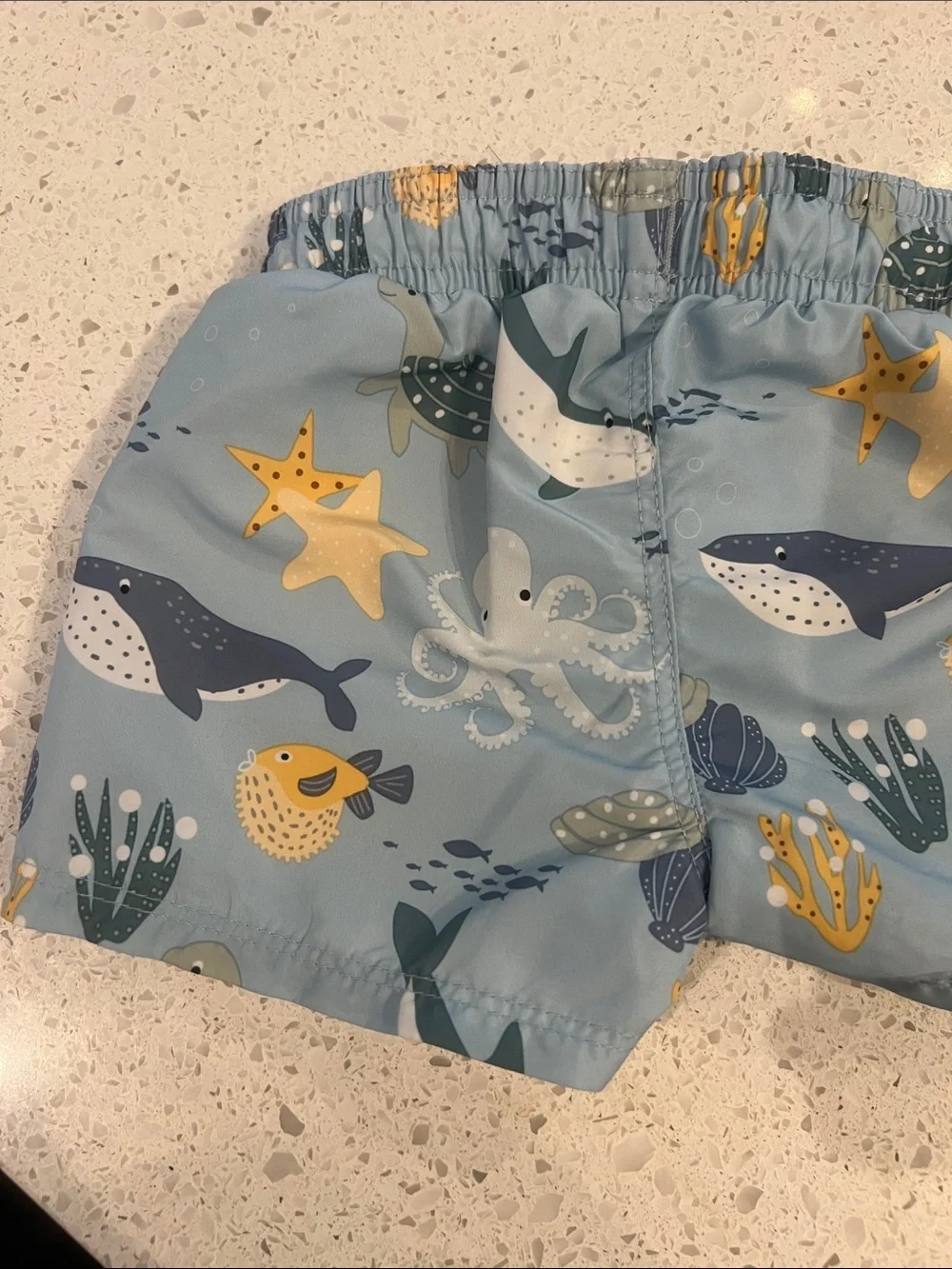 Light Blue baby Swim Shorts with Ocean Animal Print